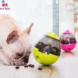 Treat Ball