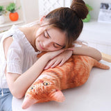 Cat Printed Plush Toy Cushion